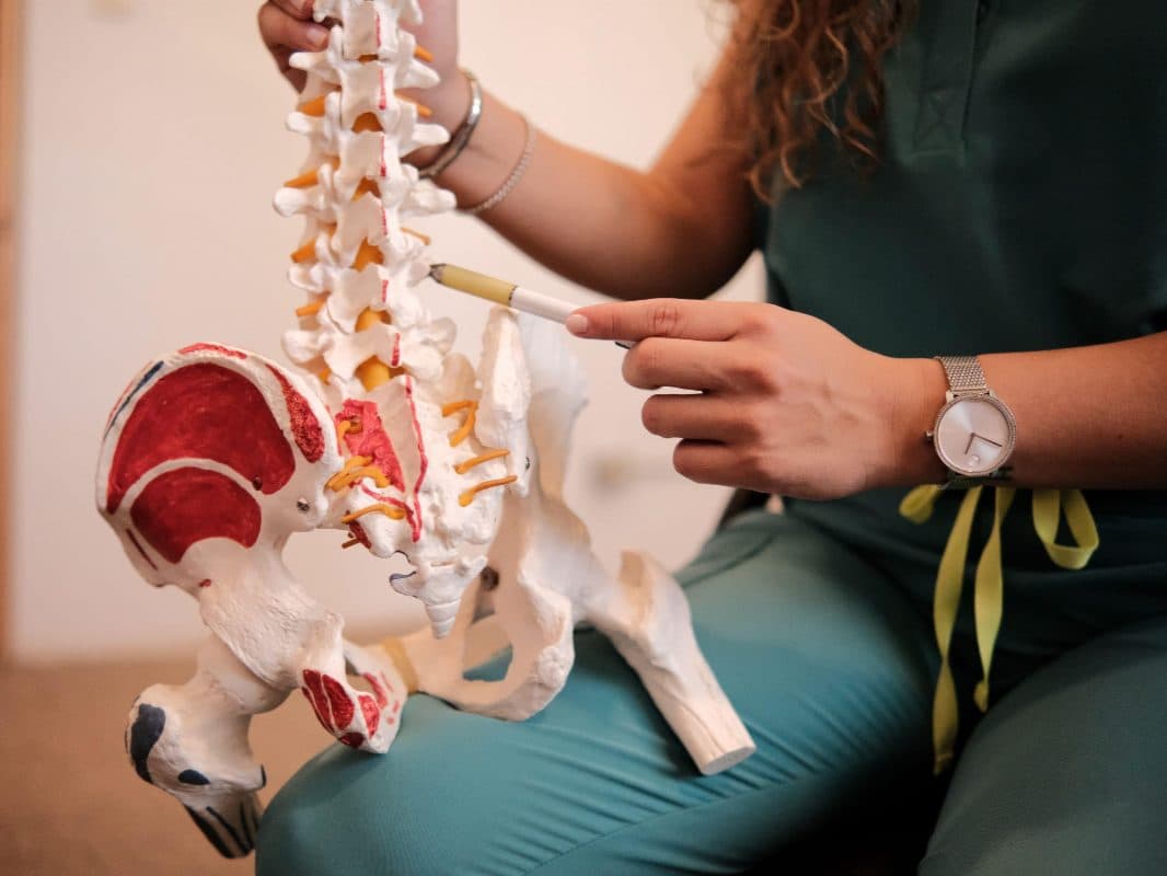 Doctora señalando un modelo de la columna vertebral